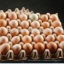 Egg Emballage Cartons Plateau